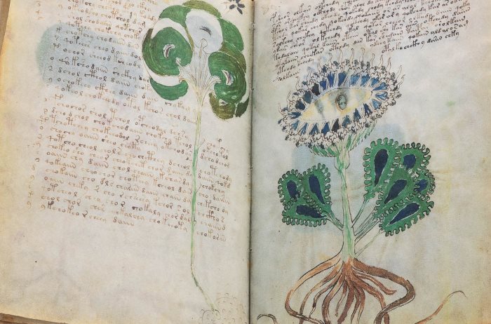 The Voynich manuscript